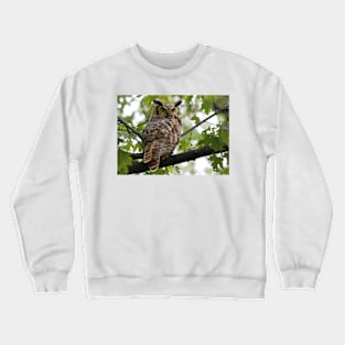 Great Horned Owl Crewneck Sweatshirt